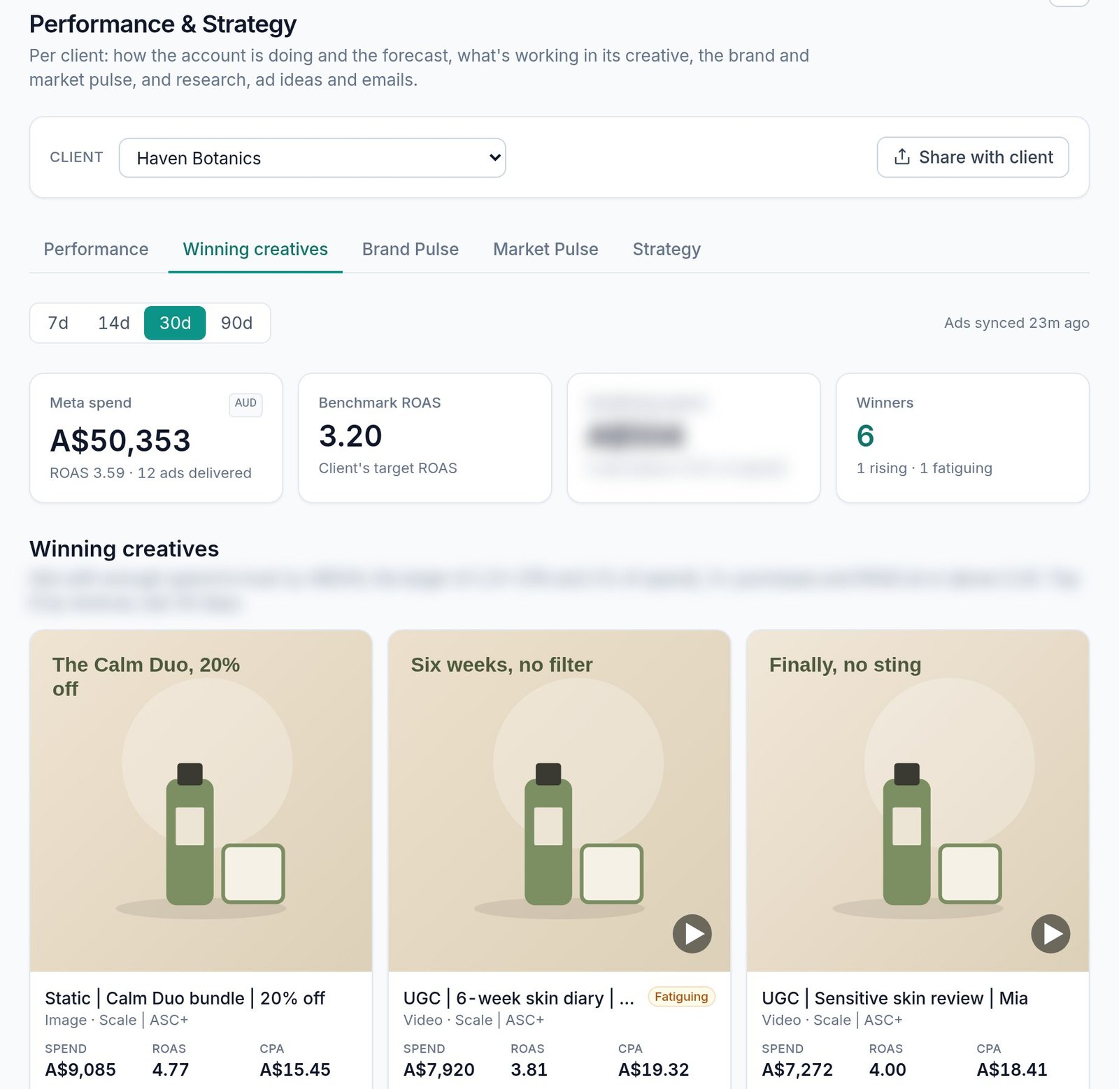 Performance & Strategy: winning creatives with spend, ROAS and rising or fatiguing labels